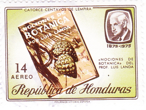 Botánica-prof. Luis Landa