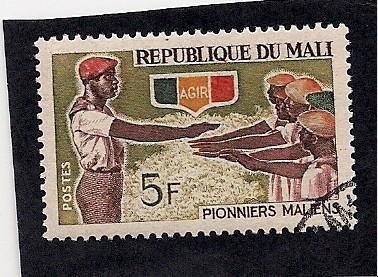 pionniers maliens