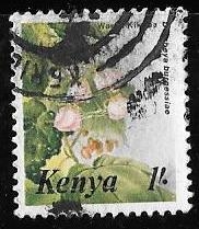 Kenya-cambio