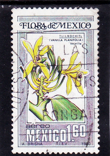 Flora de México-vainilla
