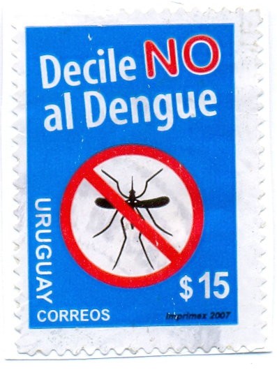 LUCHA CONTRA EL  DENGUE