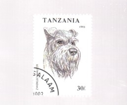 perro