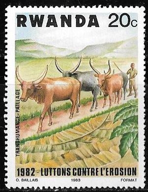Rwanda-cambio