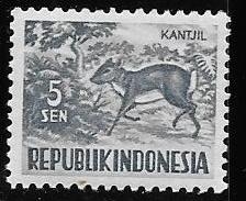 Indonesia-cambio