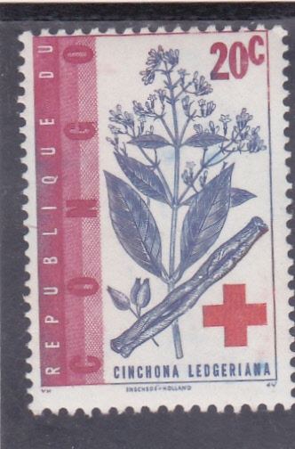 chinchona ledgeriana- planta medicinal