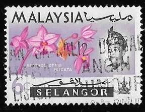 Selangor-cambio