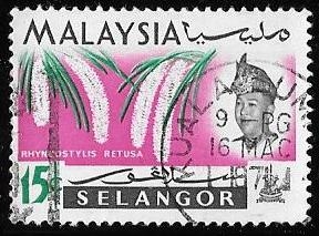 Selangor-cambio