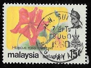 Selangor-cambio