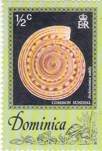 COMMON SUNDIAL