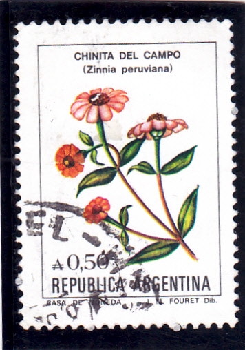 FLOR-CHINITA DEL CAMPO