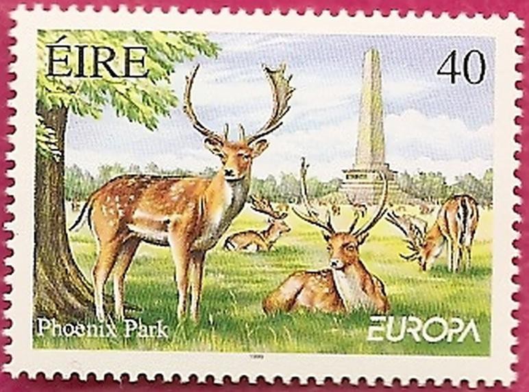EUROPA - Ciervos en Phoenix Park - Dublín