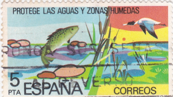 Protege las aguas y zonas humedas (25)