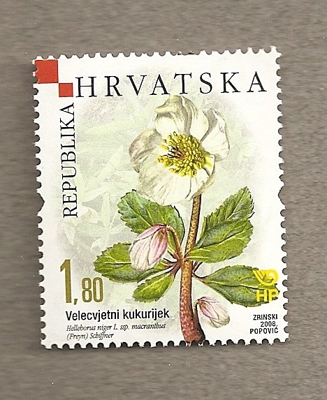 Flores de Croacia