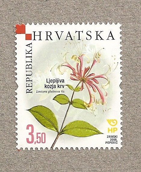 Flores de Croacia