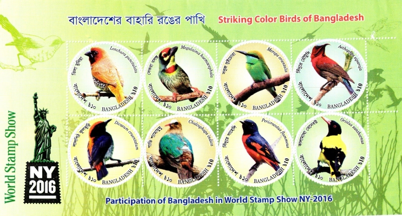  Llamativos pájaros del color de Bangladesh