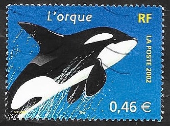 3487 - Una orca