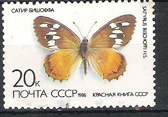 C.C.C.P. Mariposas Nº5