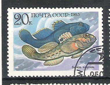 C.C.C.P. Peces Nº4
