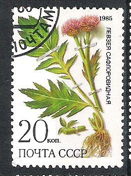 C.C.C.P. Flores Siberia Nº4