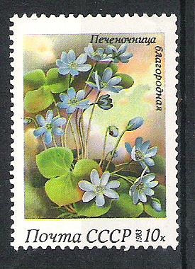 1983 Spring FLowers nº3