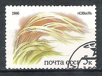 Plants of Russian Steppes Nº2