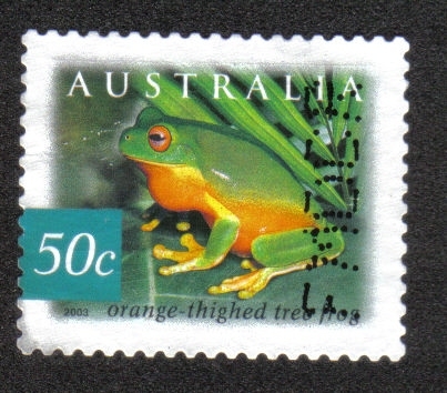 Fauna