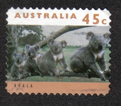 Kanguros y Koalas