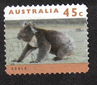 Kanguros y Koalas