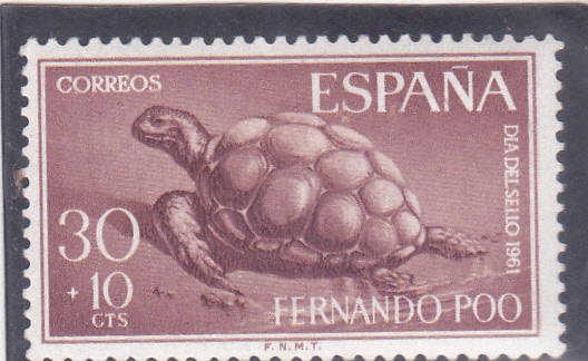 Día del sello-tortuga