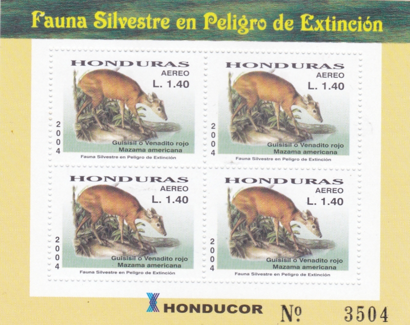 FAUNA SILVESTRE EN PELIGRO DE EXTINCIÓN