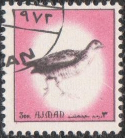 Ajman
