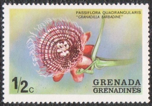 Grenada