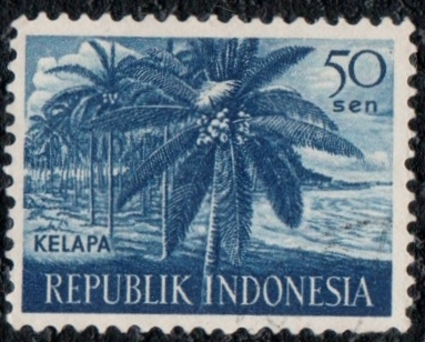 Kelapa