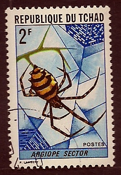 Argiope Sector