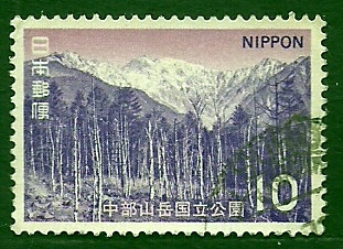 Bosque de BAMBU
