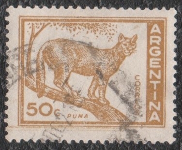 Puma