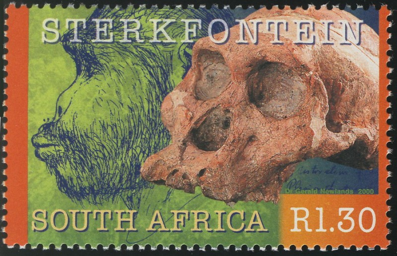 SUDÁFRICA: Sitio de homínidos fósiles de Sterkfontein, Swartkrans, Kromdraai y sus alrededores