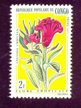 flor tropical