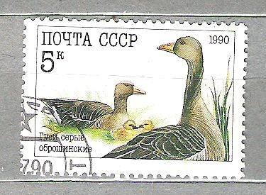 1990 Poultry Nº1