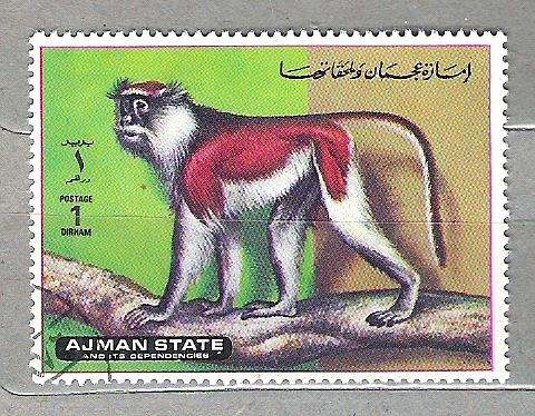 1973 Serie Monos(Ajman)