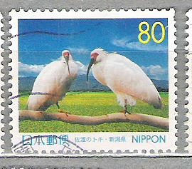 1999 Prefectura. Niigata. C. Ibis japonés crestado.
