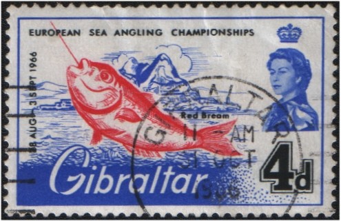 Campeonato Europeo de Pesca Marina