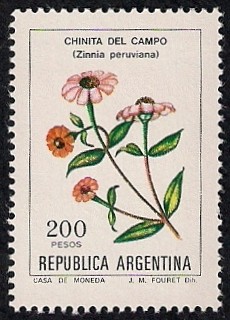 Zinnia peruviana