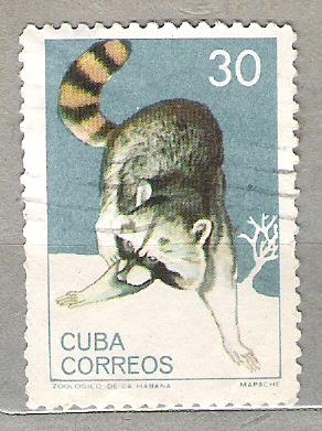 1964 The Havana Zoo Animals