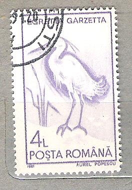 1991 Pajaros