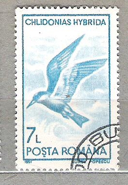 1991 Pajaros