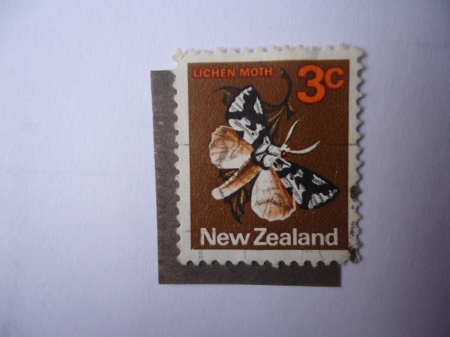Lichen Moth -Serie: 1970-76) - Polilla del liquen de la Isla Sur (Declana egregia)