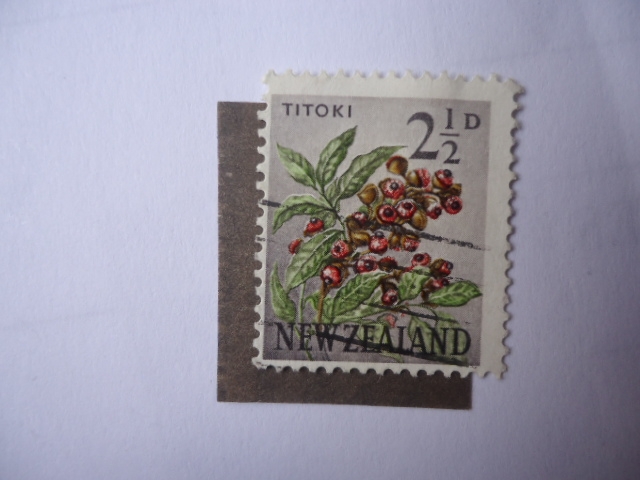 Titoki- (alectryon excelsus) Sello de 2,1/2 penique de Nueva Zeland.