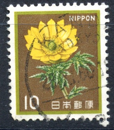 JAPON_SCOTT 1422.01 FLOR AMUR ADONIS. $0,20