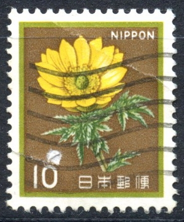 JAPON_SCOTT 1422.03 FLOR AMUR ADONIS. $0,20